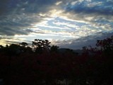 f:id:kyoko-k:20091022174529j:image