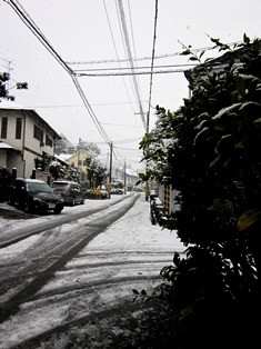 f:id:kyoko-k:20110214161819j:image