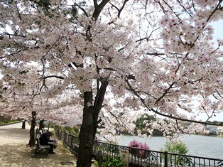 f:id:kyoko-k:20180403151419j:image