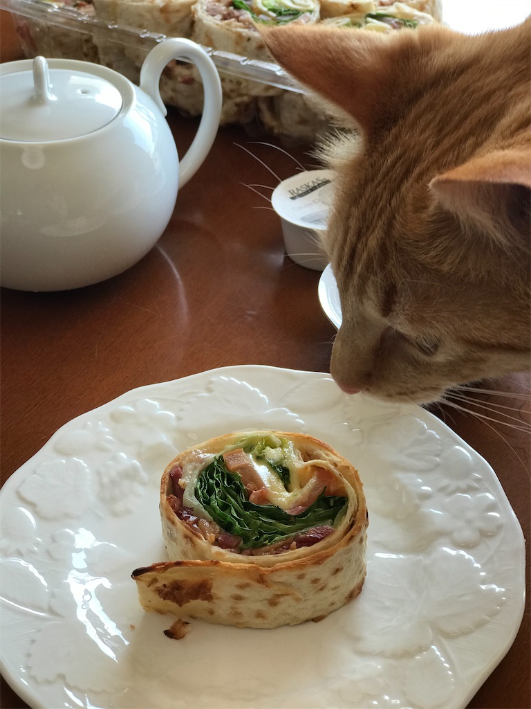 f:id:kyoko007go:20210414201646j:image