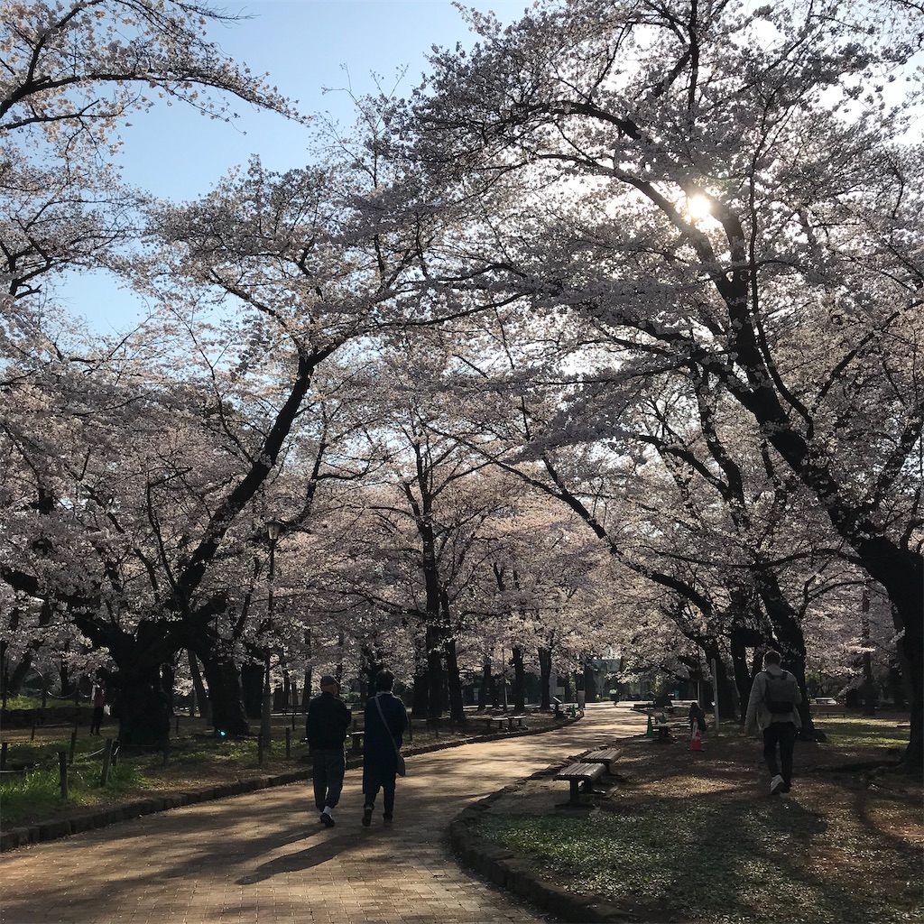 f:id:kyoko007go:20210501124205j:image