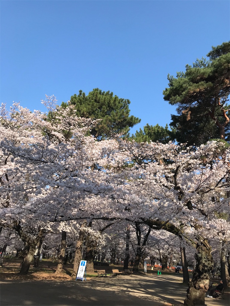 f:id:kyoko007go:20210501124225j:image