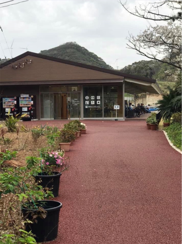 f:id:kyoko007go:20210501143338j:image