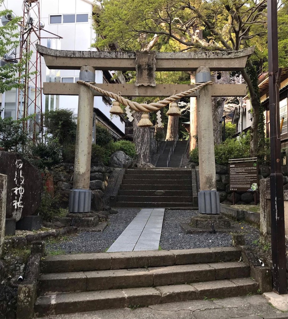 f:id:kyoko007go:20210503183219j:image