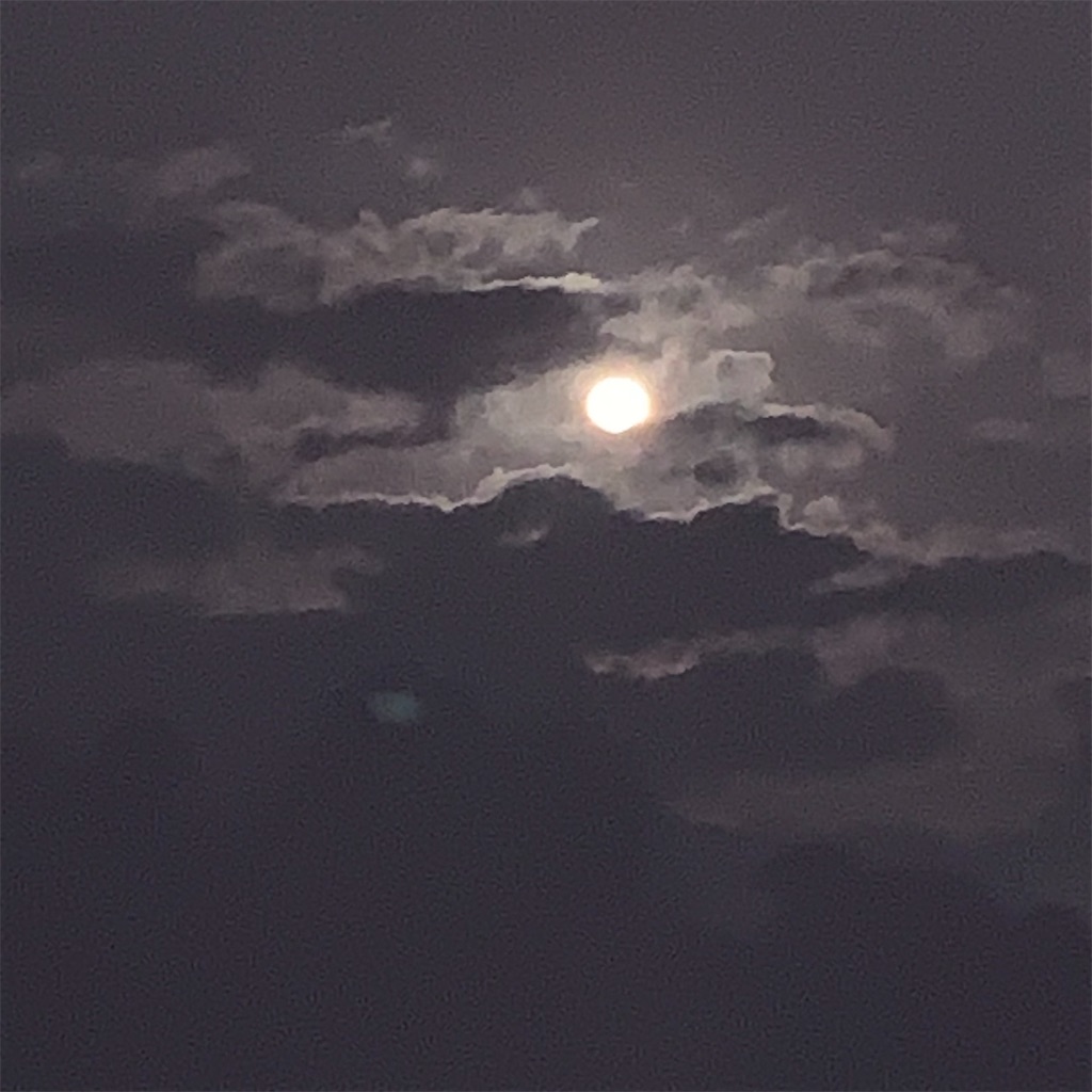 f:id:kyoko316:20240129233605j:image f:id:kyoko316:20240129233605j:image