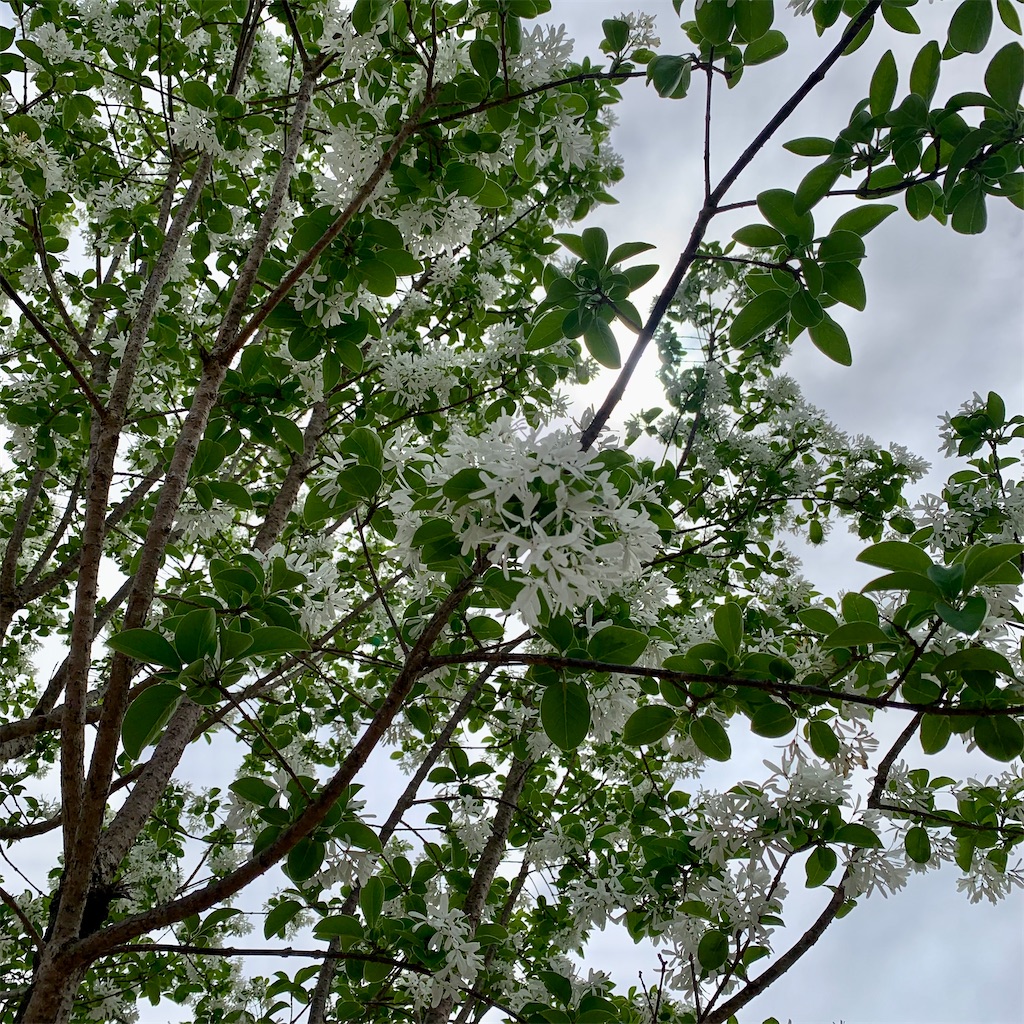 f:id:kyoko316:20240430180231j:image f:id:kyoko316:20240430180231j:image