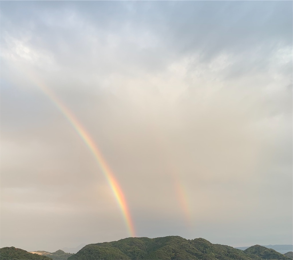 f:id:kyoko316:20241201193949j:image
