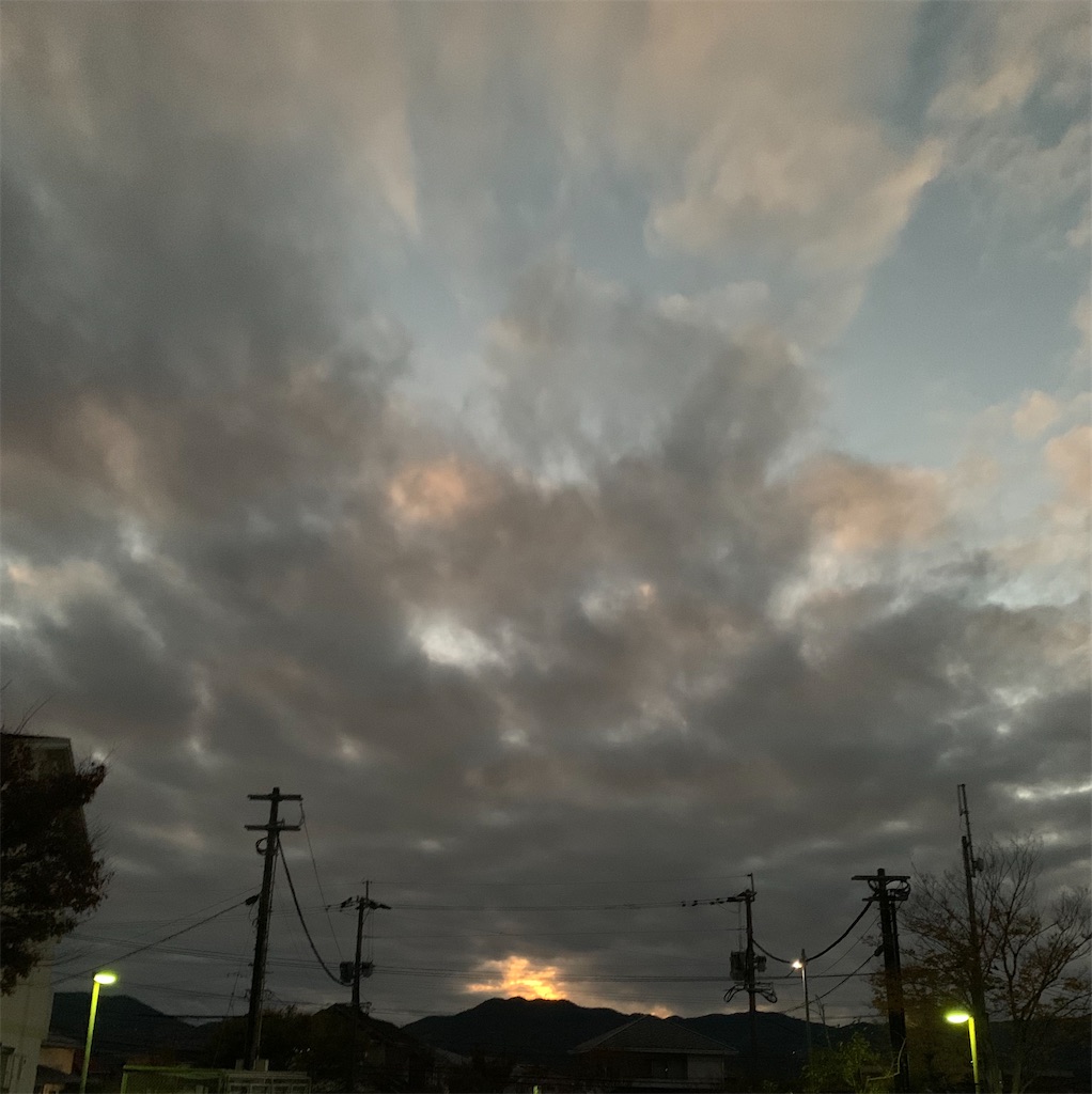 f:id:kyoko316:20241204214658j:image