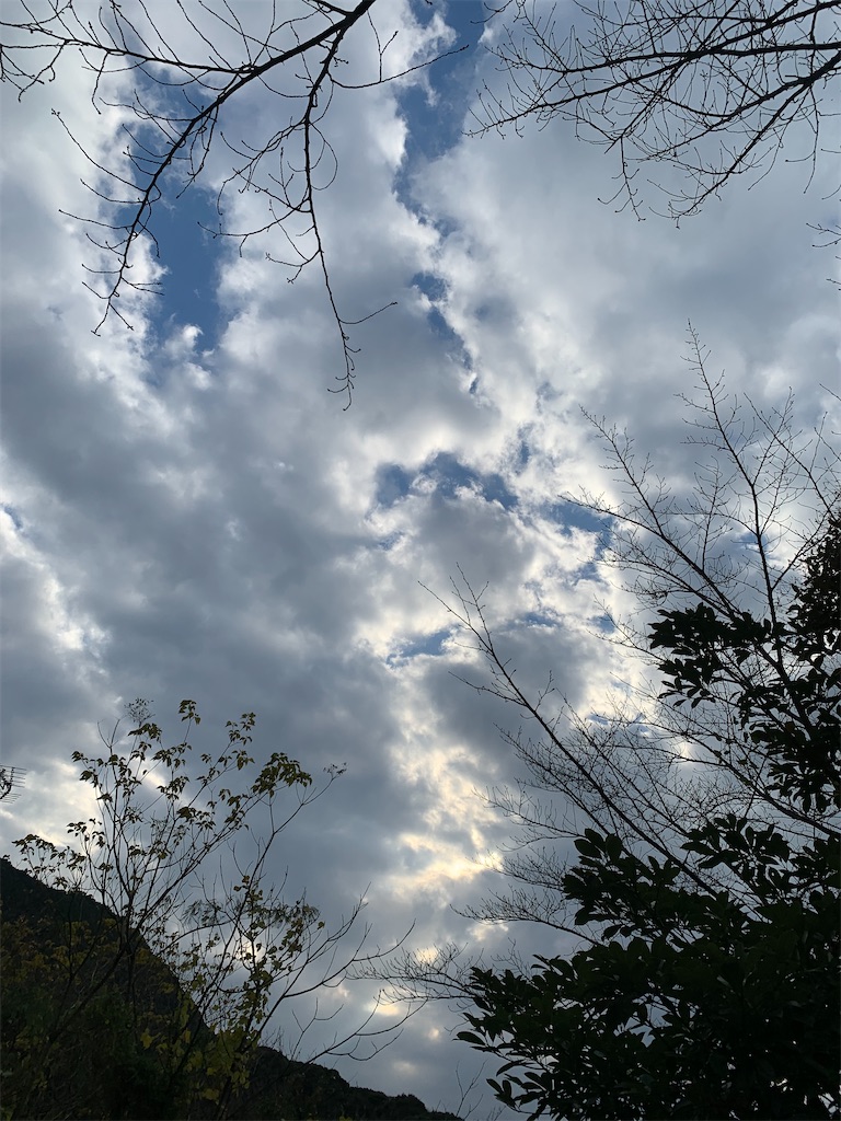 f:id:kyoko316:20241221221923j:image