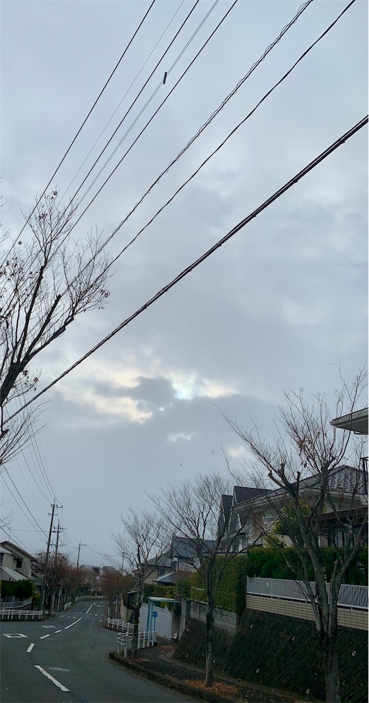 f:id:kyoko316:20250110103732j:image