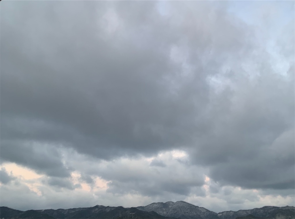 f:id:kyoko316:20250110104115j:image