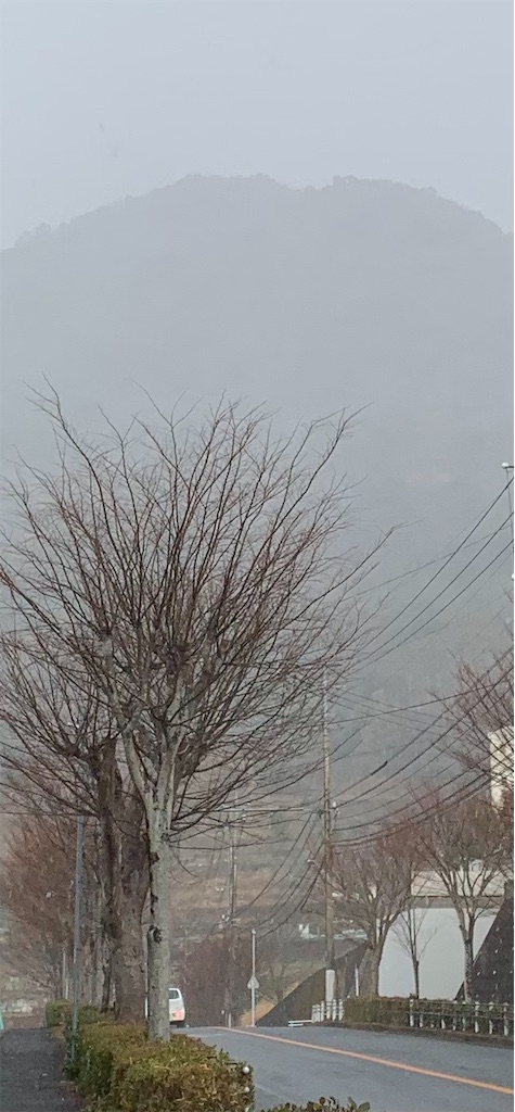 f:id:kyoko316:20250110110932j:image