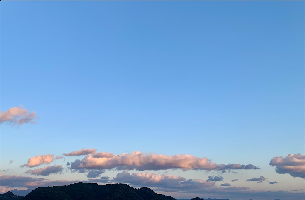 f:id:kyoko316:20250212175649j:image