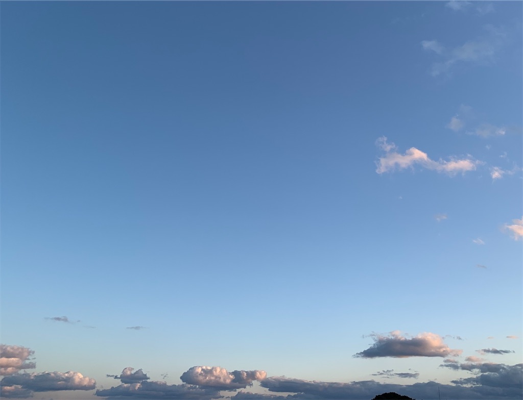 f:id:kyoko316:20250212190818j:image