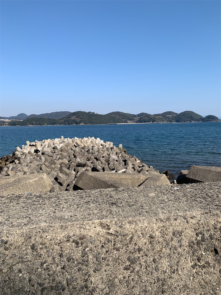 f:id:kyoko316:20250218204204j:image
