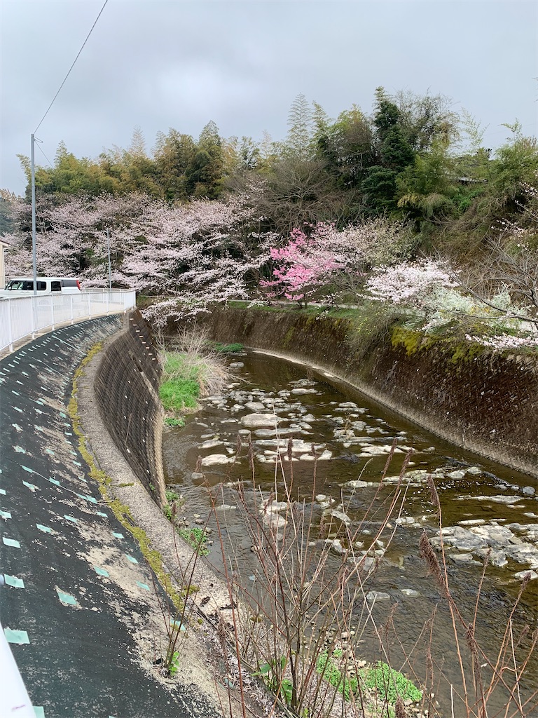 f:id:kyoko316:20250327144656j:image