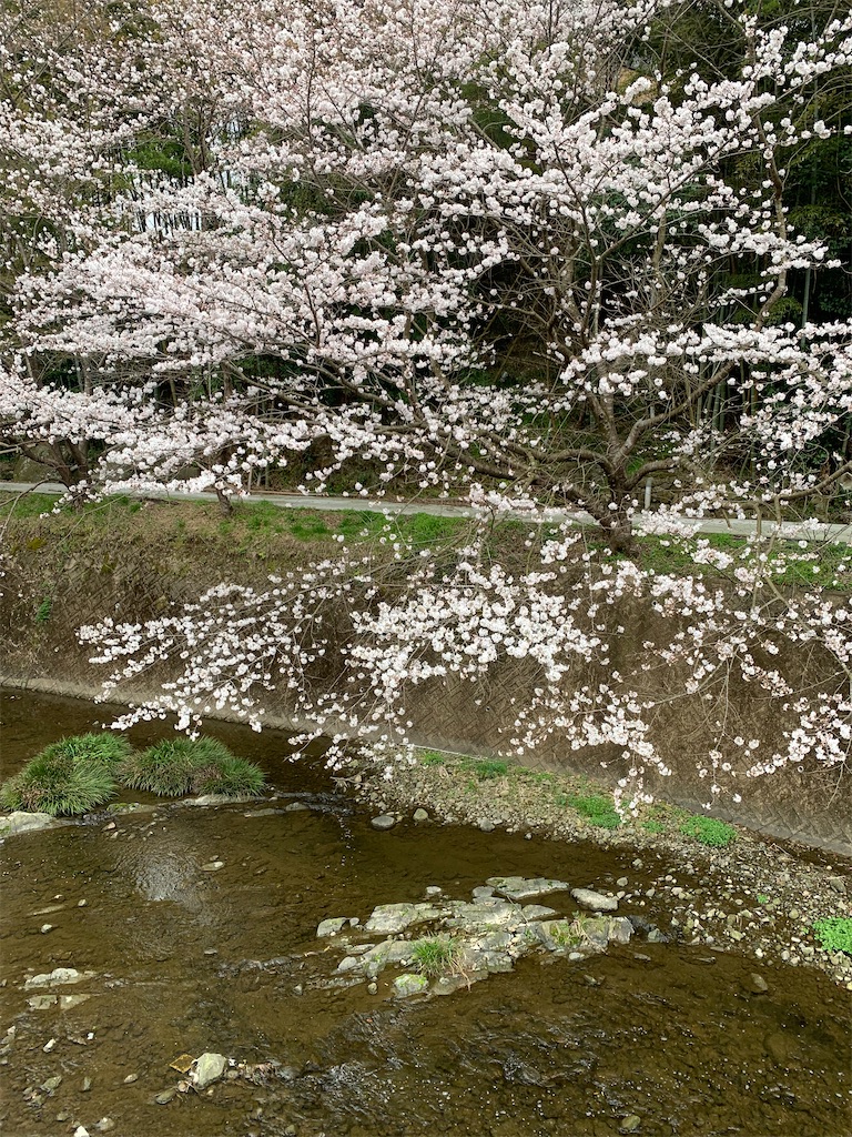 f:id:kyoko316:20250327144754j:image