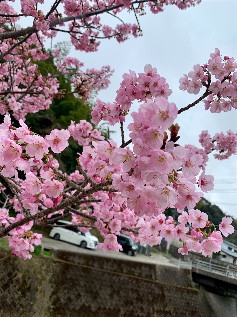 f:id:kyoko316:20250327144856j:image