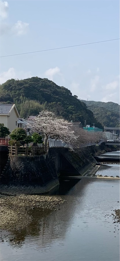 f:id:kyoko316:20250327152019j:image