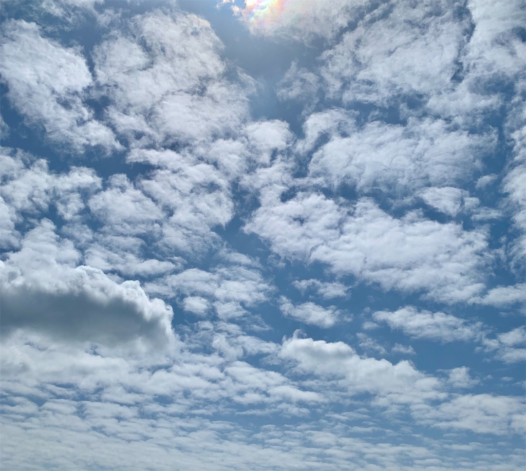 f:id:kyoko316:20250402235423j:image