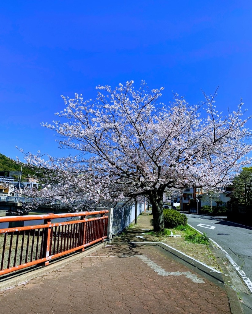 f:id:kyoko316:20250410221315j:image