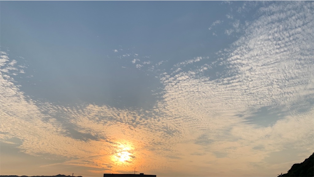 f:id:kyoko316:20250603001011j:image
