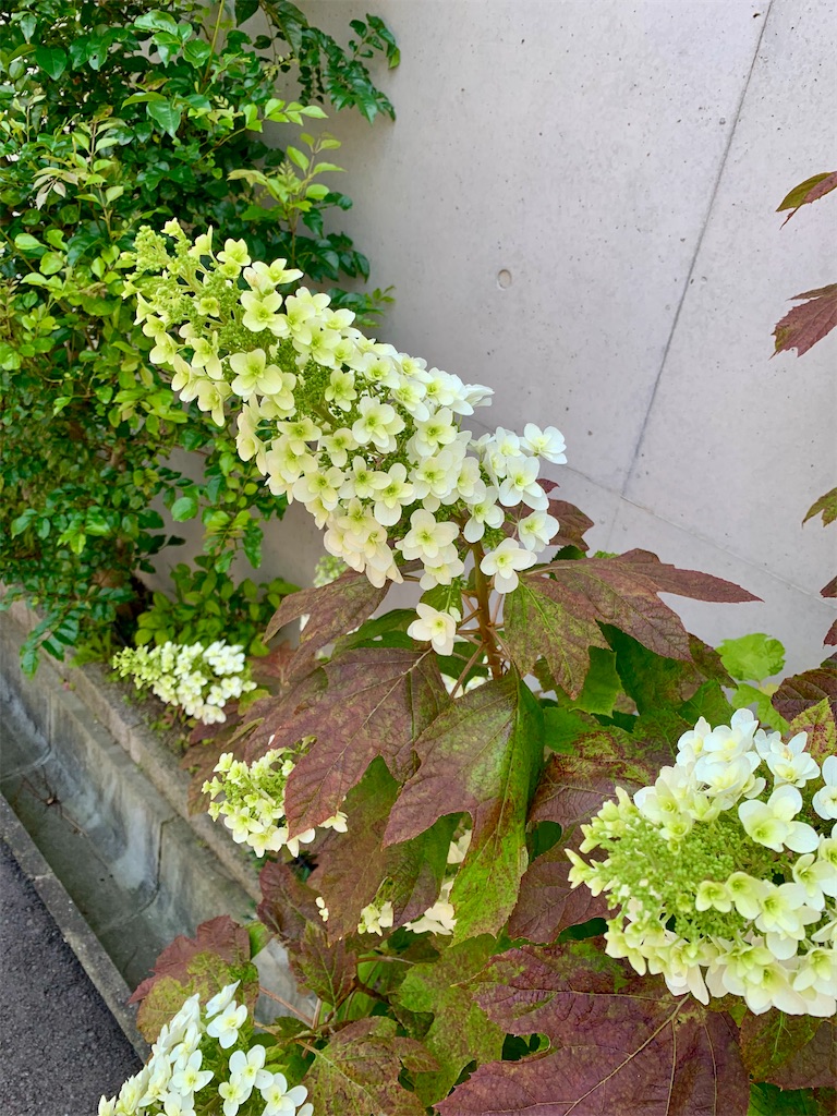 f:id:kyoko316:20250603220333j:image