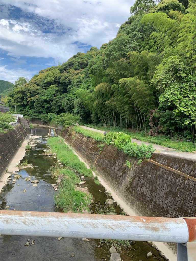 f:id:kyoko316:20250607231615j:image
