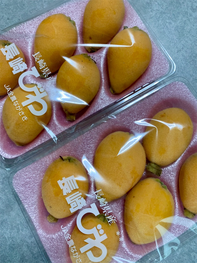 f:id:kyoko316:20250611215604j:image