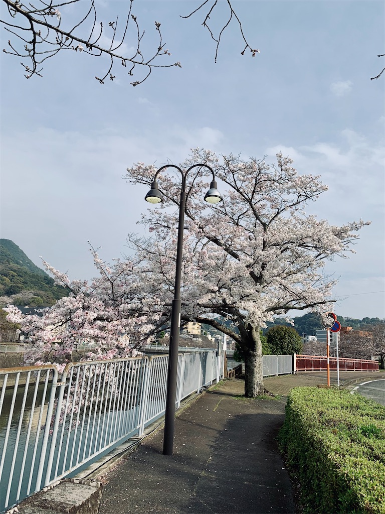 f:id:kyoko316:20260330234332j:image