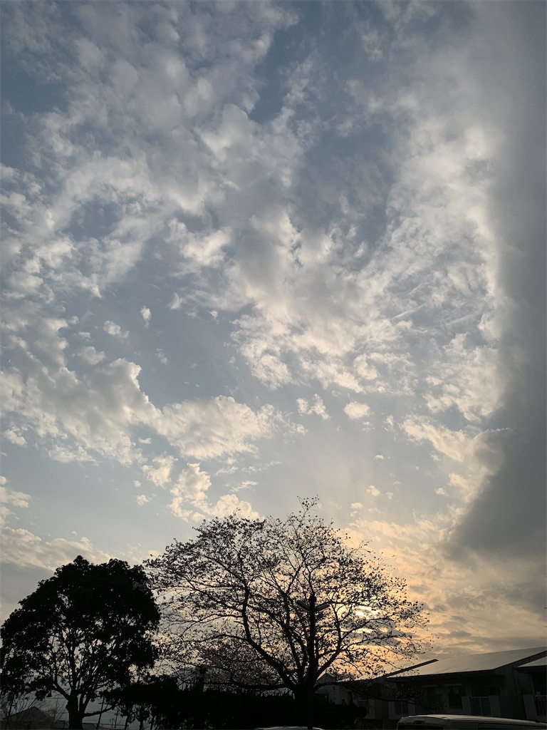 f:id:kyoko316:20260330234541j:image