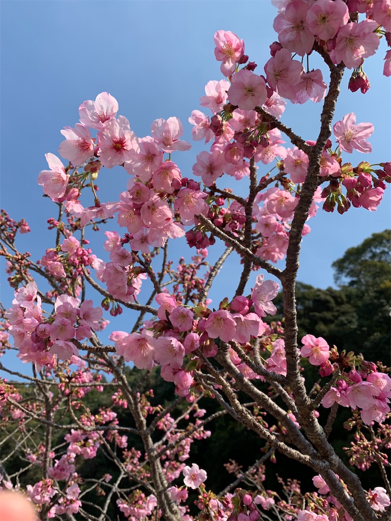 f:id:kyoko316:20260401224721j:image