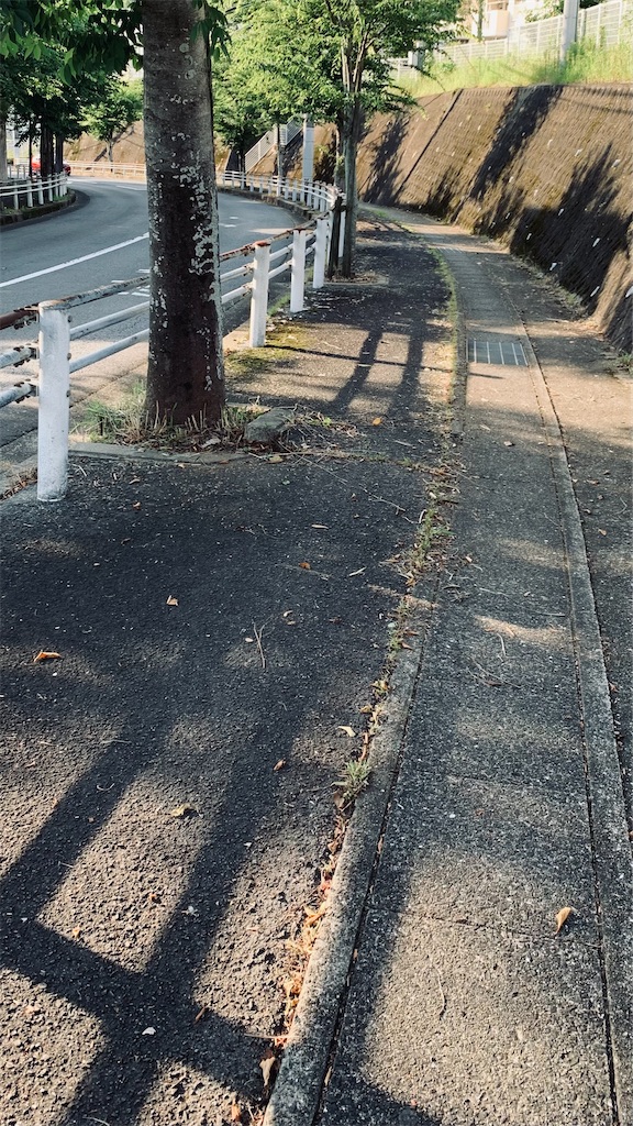 f:id:kyoko316:20260615214602j:image