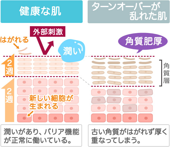 f:id:kyokocanarysan:20171116225203j:plain f:id:kyokocanarysan:20171116225203j:plain