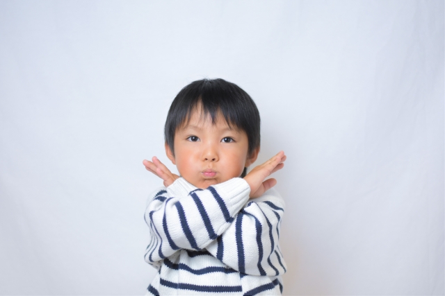 f:id:kyokocanarysan:20171118232920j:plain f:id:kyokocanarysan:20171118232920j:plain