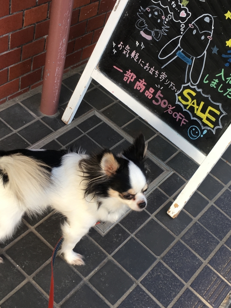 f:id:kyokocanarysan:20171126015711j:plain f:id:kyokocanarysan:20171126015711j:plain