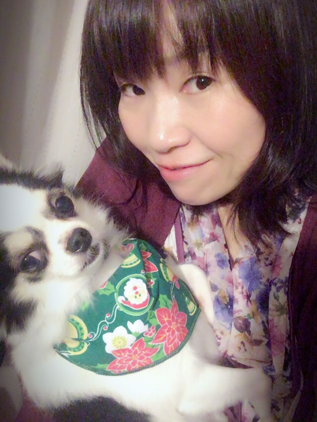 f:id:kyokocanarysan:20171126022916j:plain f:id:kyokocanarysan:20171126022916j:plain