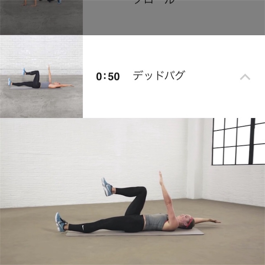 f:id:kyokocanarysan:20180112233532j:image