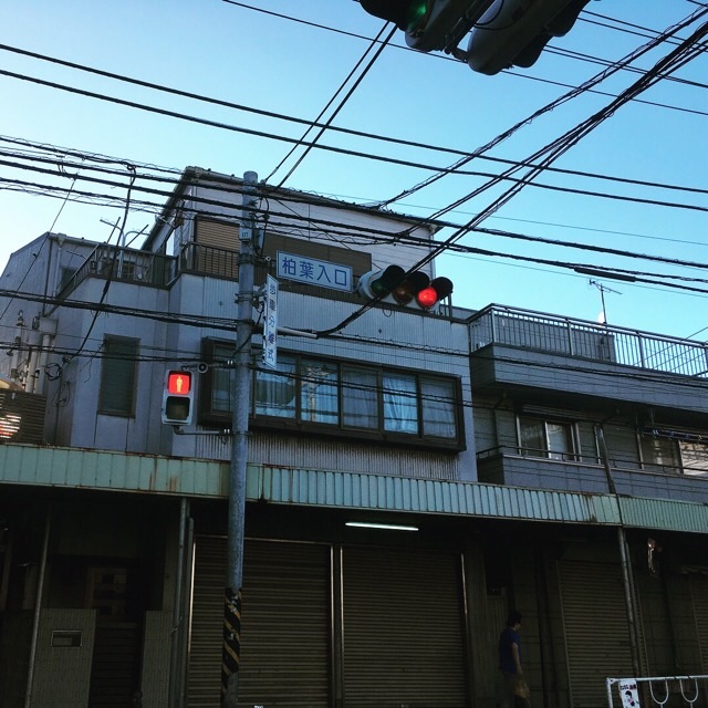 f:id:kyokocanarysan:20180629215352j:image:w450 f:id:kyokocanarysan:20180629215352j:image:w450