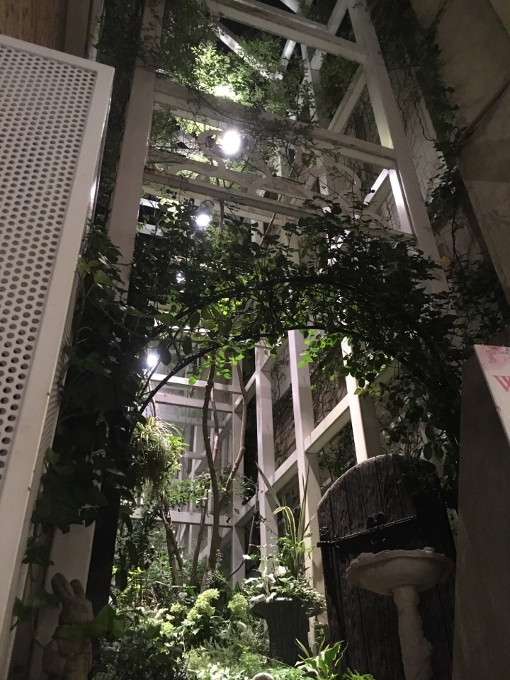 f:id:kyokocanarysan:20180629215738j:image:w450 f:id:kyokocanarysan:20180629215738j:image:w450