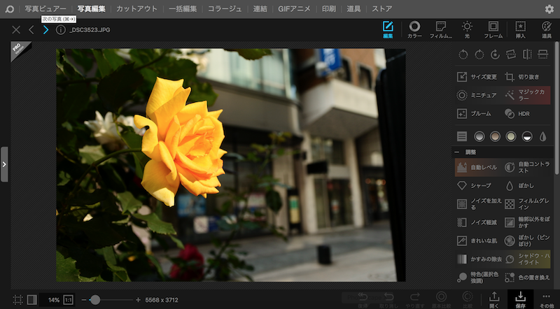 f:id:kyokocanarysan:20180728000914p:plain f:id:kyokocanarysan:20180728000914p:plain