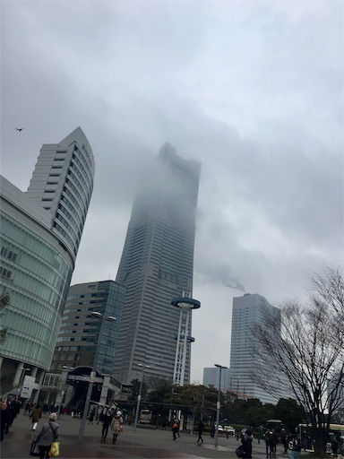 f:id:kyokocanarysan:20190215220315j:image f:id:kyokocanarysan:20190215220315j:image