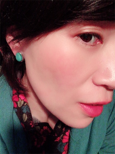 f:id:kyokocanarysan:20190215222048j:image f:id:kyokocanarysan:20190215222048j:image