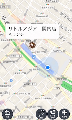 f:id:kyokocanarysan:20190624104241j:image f:id:kyokocanarysan:20190624104241j:image