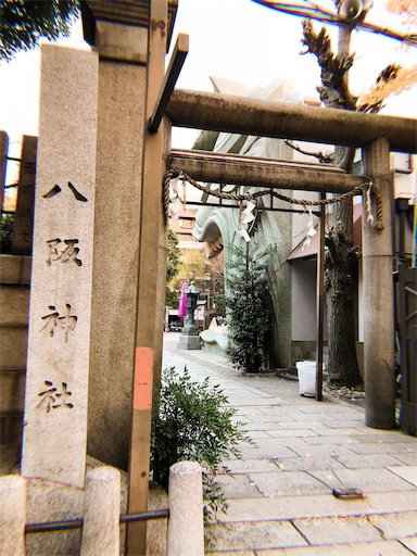 f:id:kyokocanarysan:20201211003916j:plain