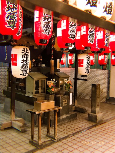 f:id:kyokocanarysan:20201218231042j:plain