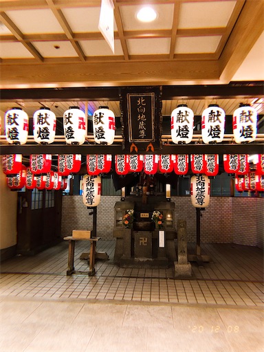 f:id:kyokocanarysan:20201218231537j:plain