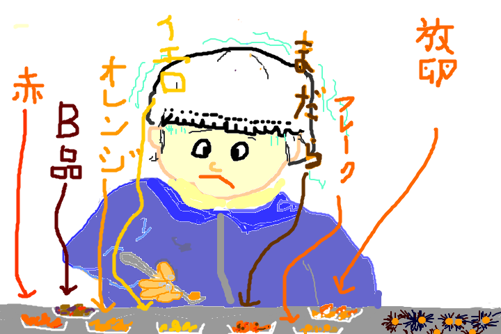 f:id:kyokoippoppo:20190428202826p:plain:w340