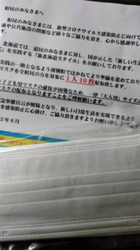 f:id:kyokoippoppo:20200626065419j:plain:w330:left