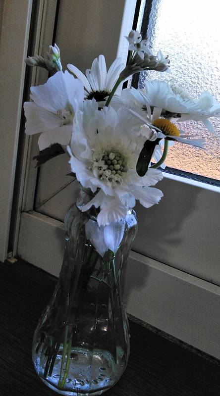 f:id:kyokoippoppo:20200824181619j:plain:w250:left